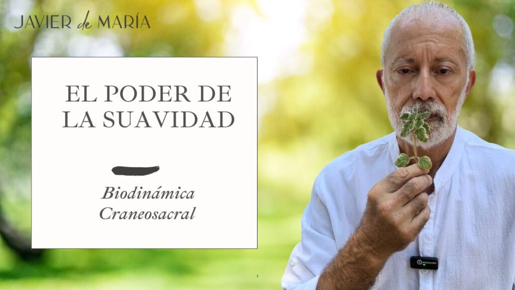 Terapia Biodinámica Craneosacral.